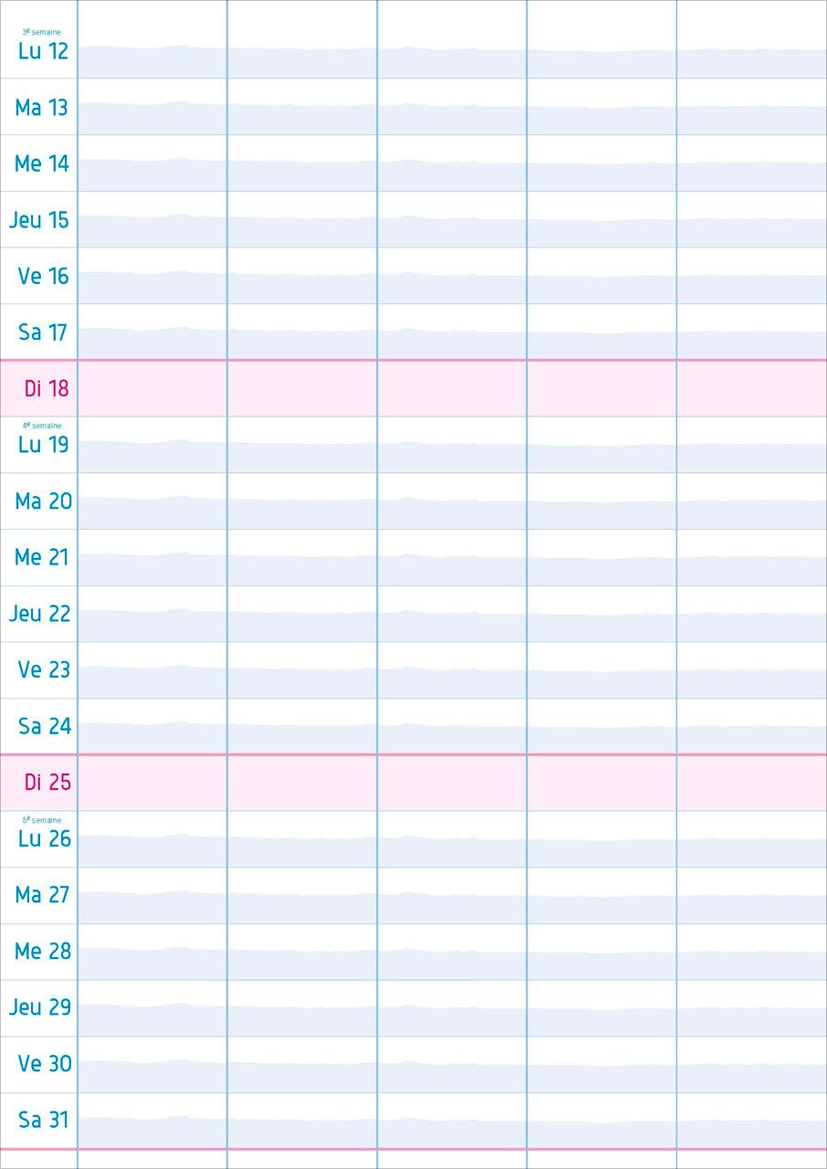 Calendrier Multiplanning - mural