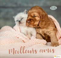 Calendrier Meilleurs amis - grand format