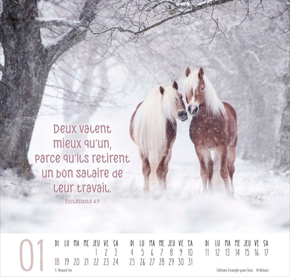 Calendrier Meilleurs amis - grand format