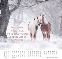 Calendrier Meilleurs amis - grand format