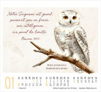 Calendrier Beauté de la création  - de table