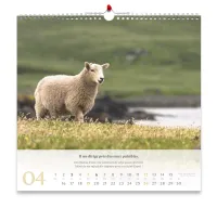 Calendrier Psaume 23 - grand format