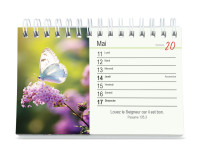 Calendrier Tu m'accompagnes