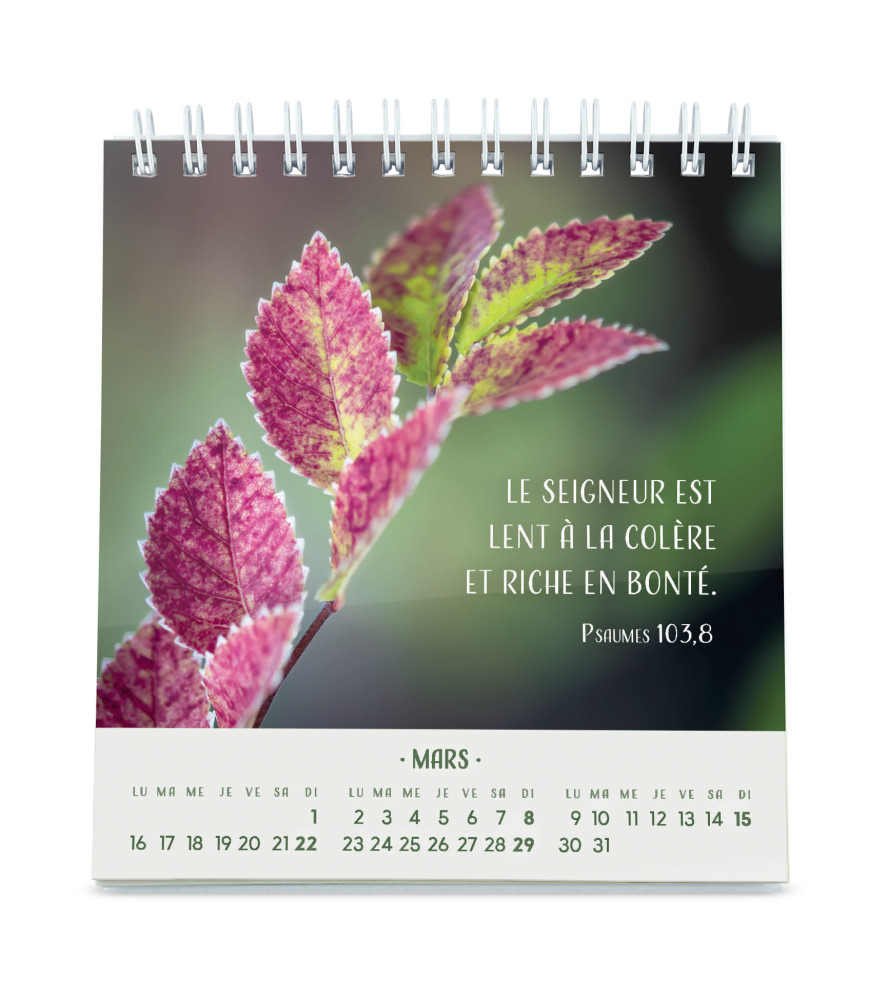 Calendrier Pensées fleuries