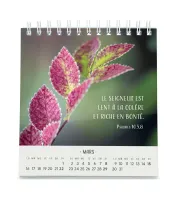 Calendrier Pensées fleuries