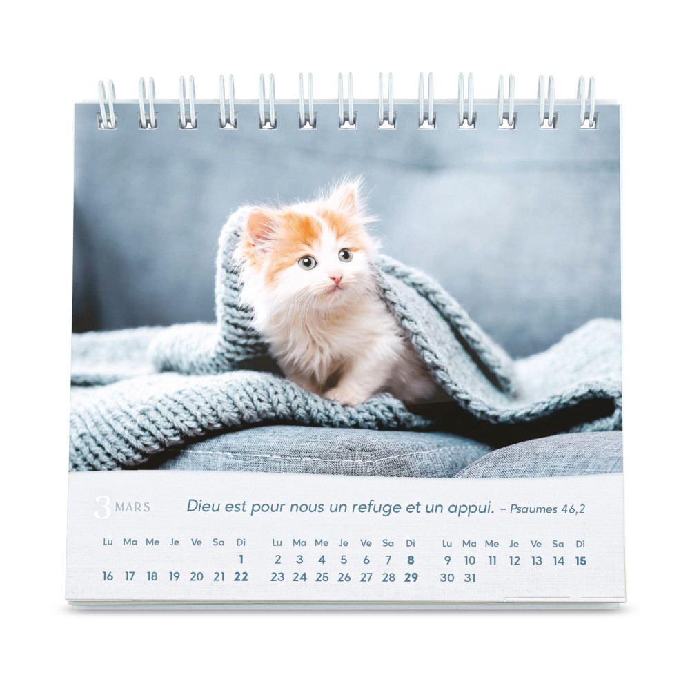 Calendrier  Les chats - petit format