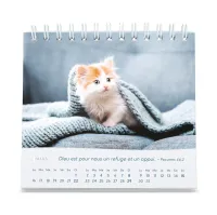 Calendrier  Les chats - petit format