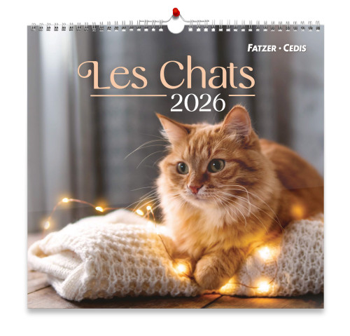 Calendrier Les chats - grand format
