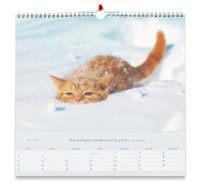 Calendrier Les chats - grand format