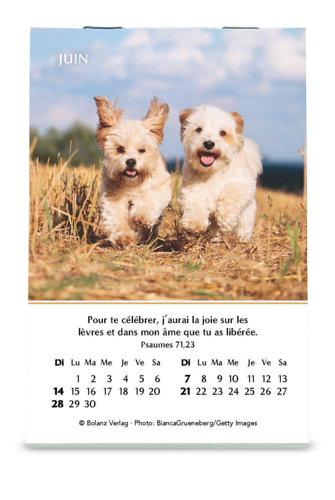Calendrier Joie - mini