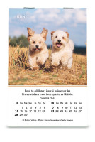 Calendrier Joie - mini
