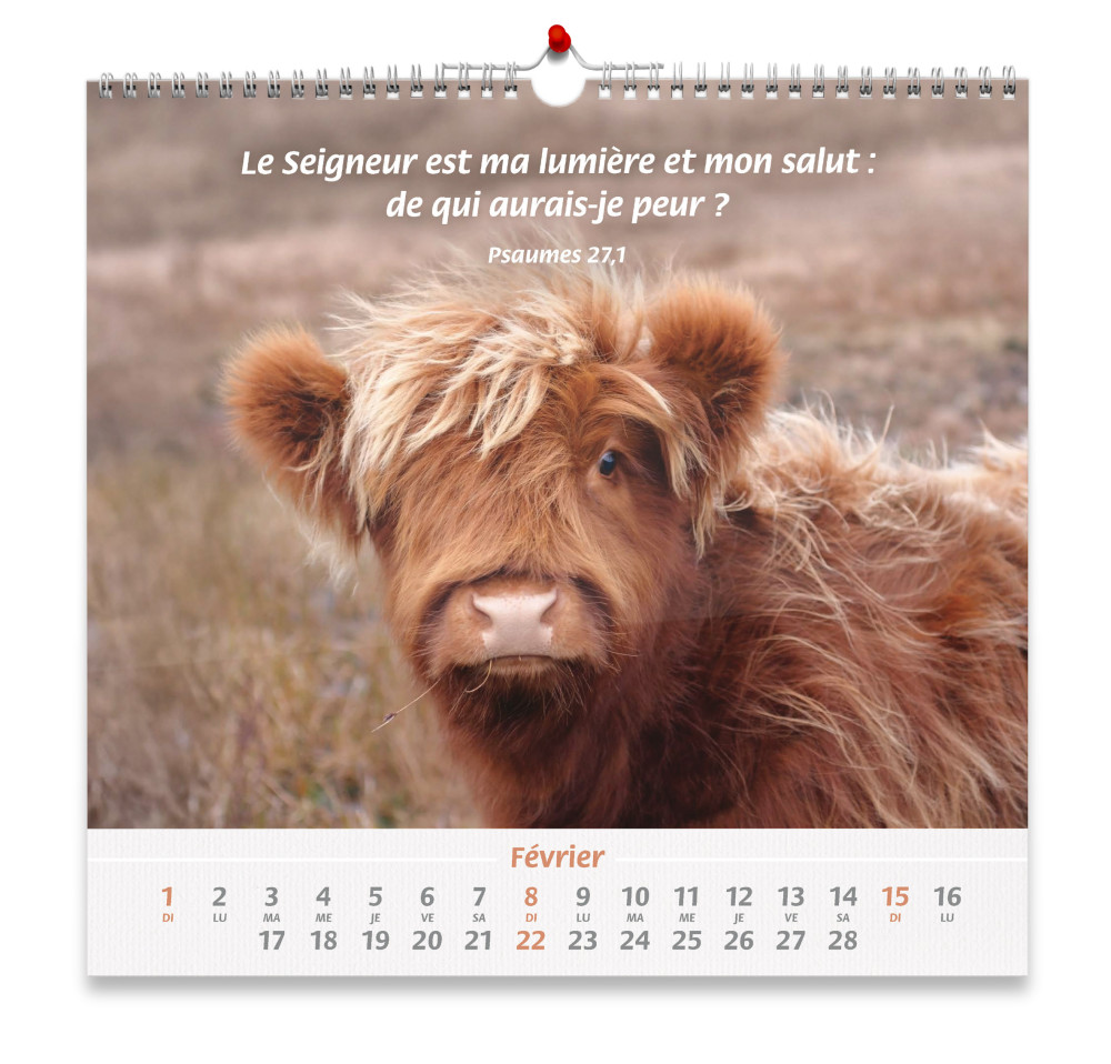 Calendrier Nos amis les animaux