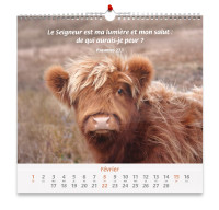 Calendrier Nos amis les animaux
