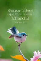 Calendrier format carte de crédit - Oiseau
