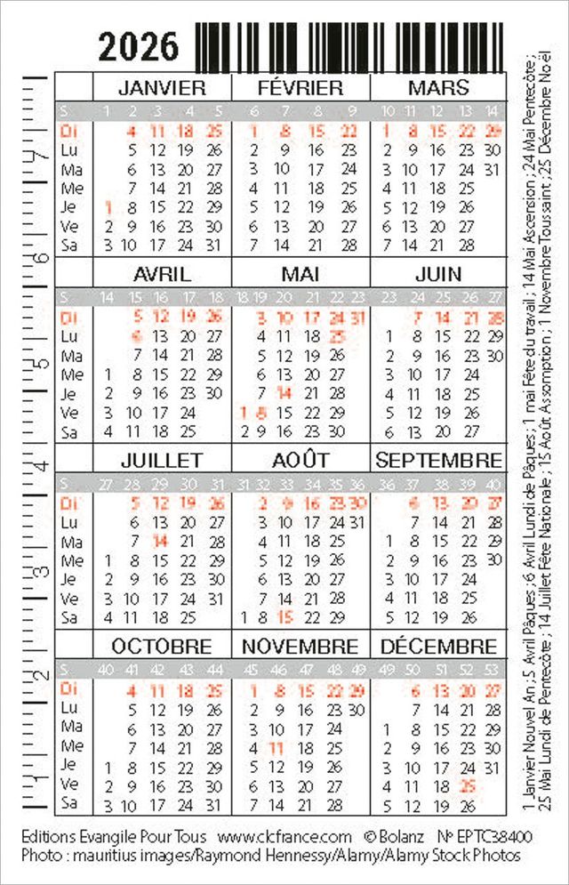Calendrier format carte de crédit - Oiseau