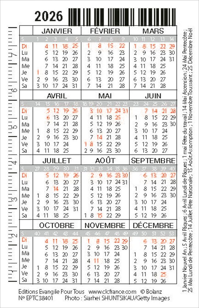 Calendrier format carte de crédit - Chat