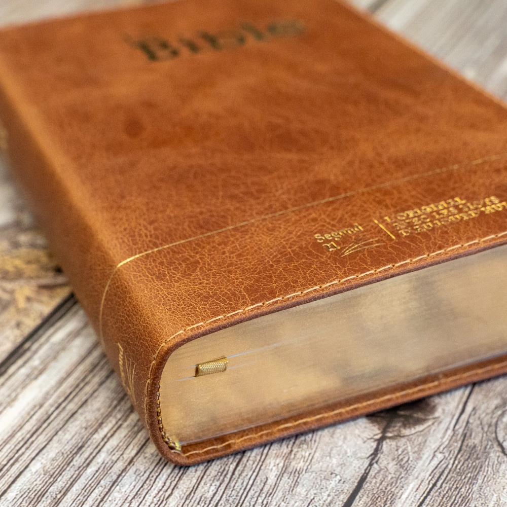 Bible Segond 21 compacte  (Premium style) - Couverture semi-rigide cuir brun, tranches or