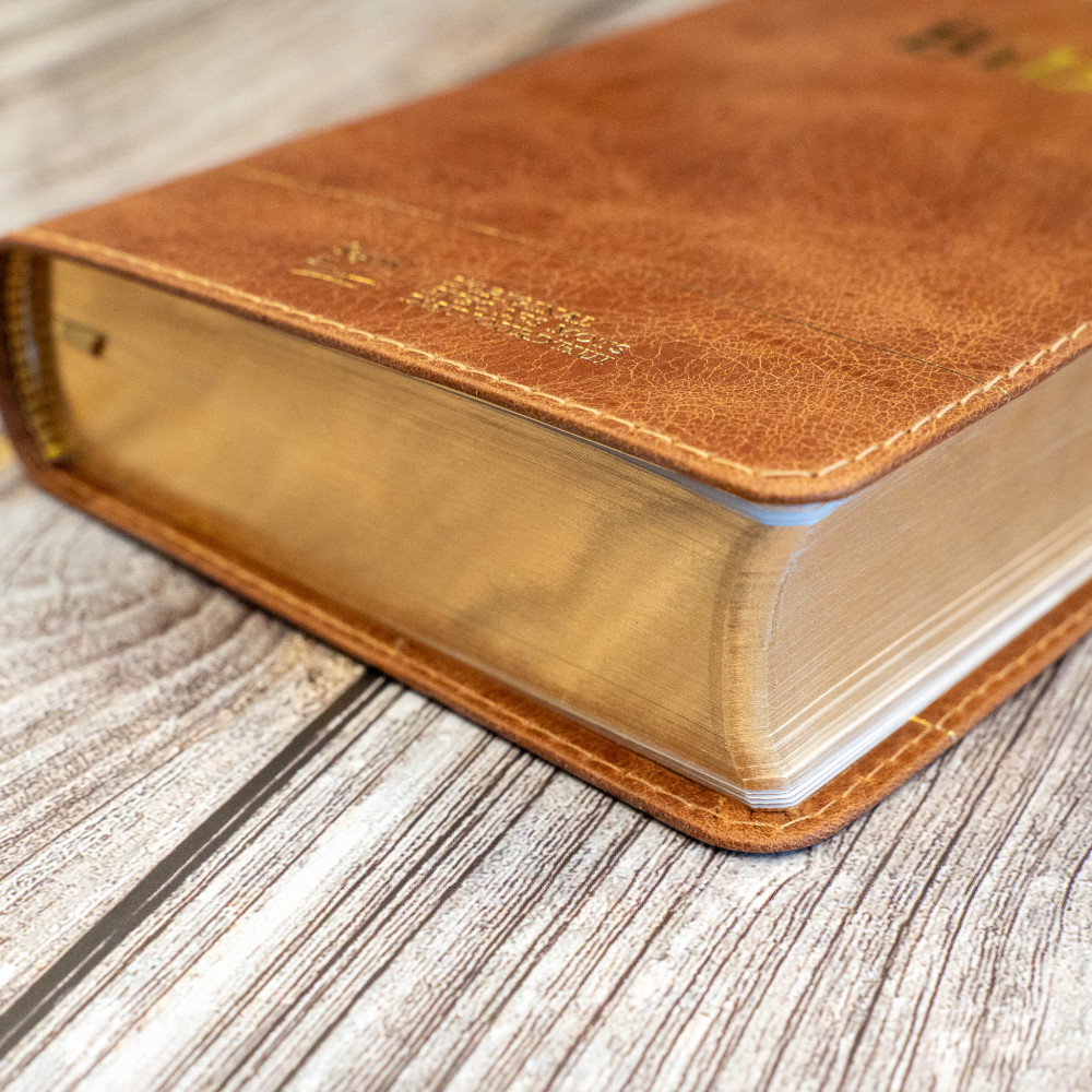 Bible Segond 21 compacte  (Premium style) - Couverture semi-rigide cuir brun, tranches or