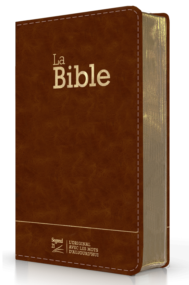 Bible Segond 21 compacte  (Premium style) - Couverture semi-rigide cuir brun, tranches or