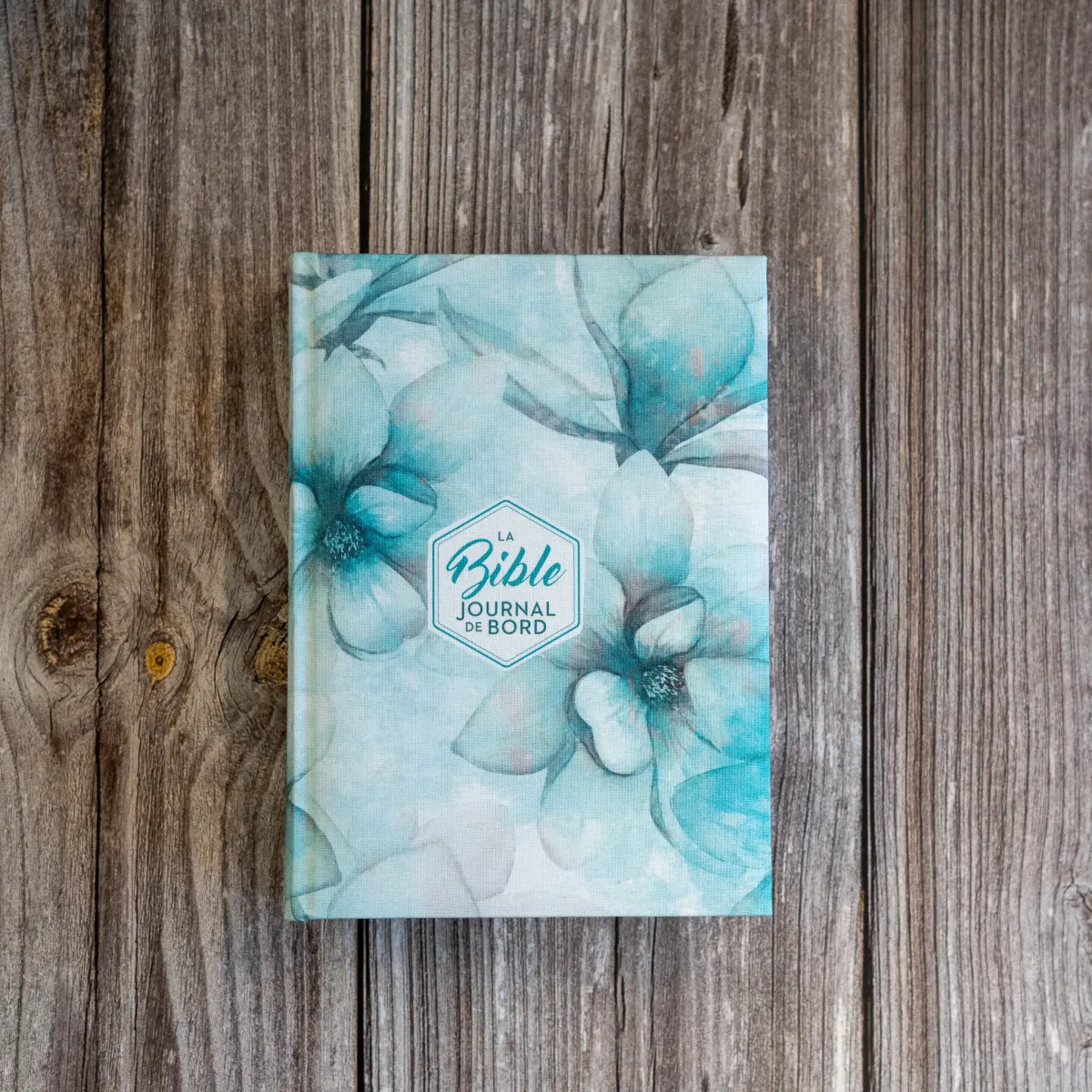 Bible Segond 21 Journal de bord - couverture rigide, toile imprimée motifs, jaspage