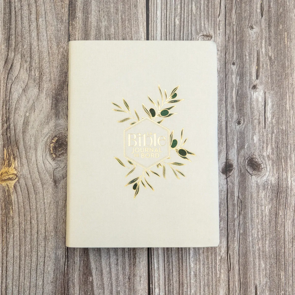 Bible Segond 21 Journal de bord - couverture souple toile blanche