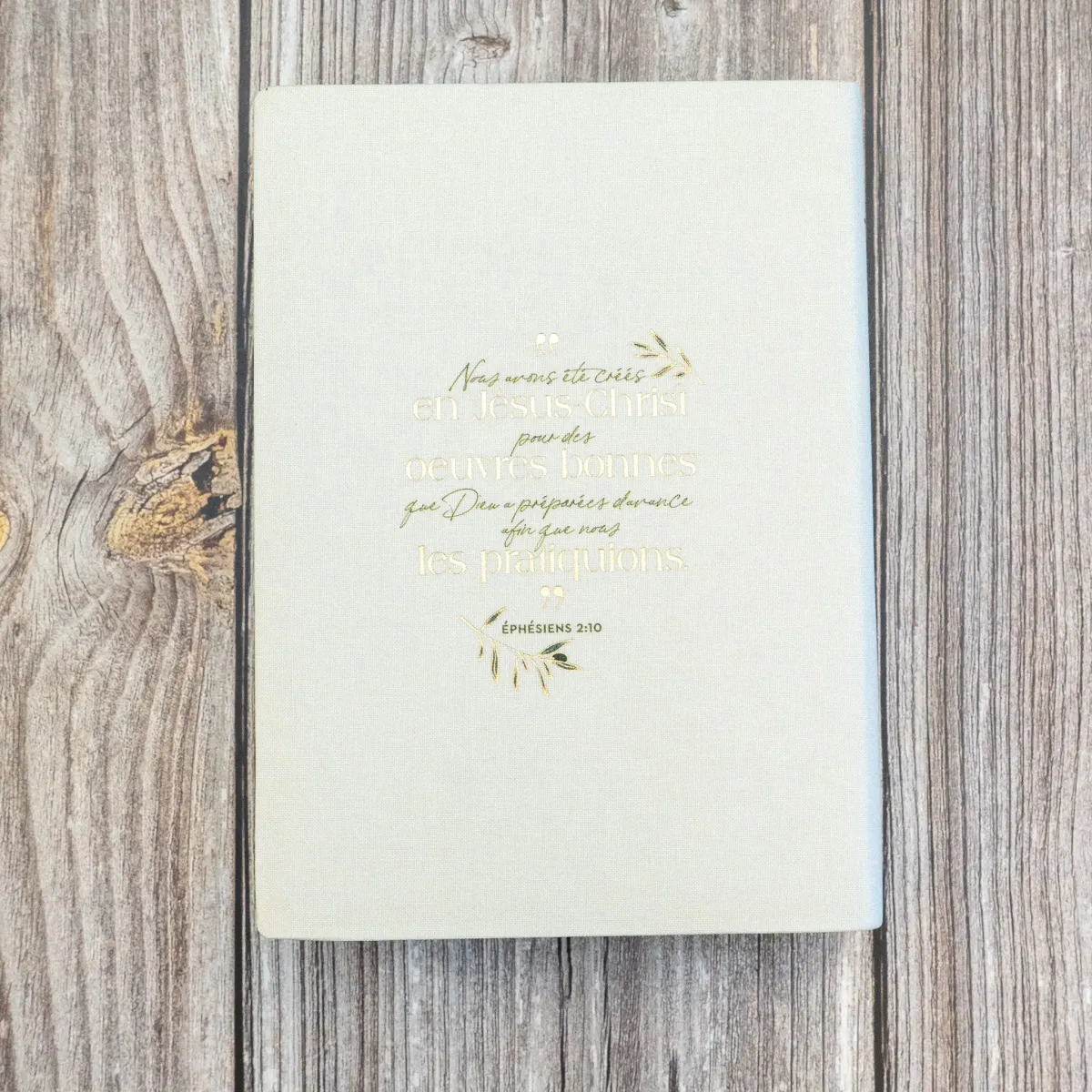 Bible Segond 21 Journal de bord - couverture souple toile blanche