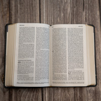 Bible Segond 21 compacte  (Premium style) - Couverture semi-rigide cuir anthracite, tranches or