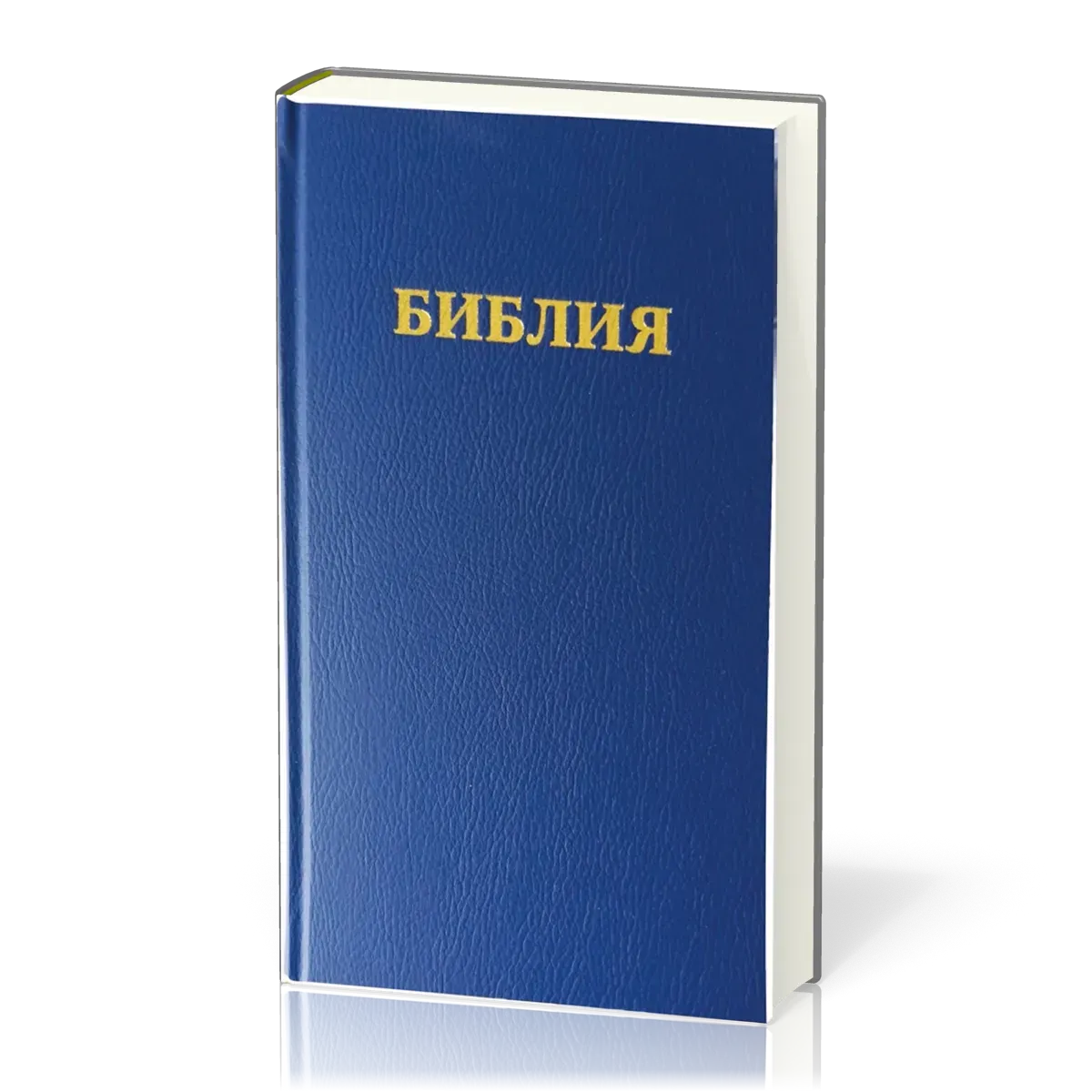 RUSSE, BIBLE R053BSR REVISEE ORTHODOXE BLEUE