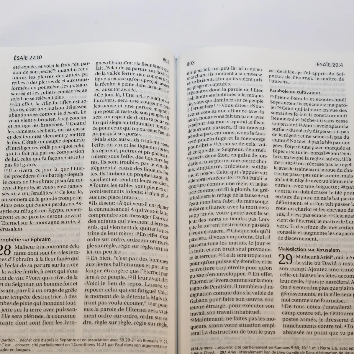 Bible Segond 21 compacte  (Premium style) - Couverture rigide cuir praliné-chocolat - tranches or et