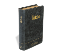 Bible Segond 21 compacte  (Premium style) - Couverture semi-rigide cuir anthracite, tranches or