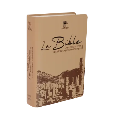 BIBLE SEGOND 21 ARCHEOLOGIQUE - COUVERTURE SOUPLE VIVELLA BRUN