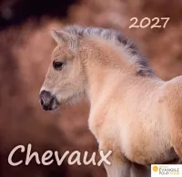 Calendrier Chevaux - Merveilles de la création