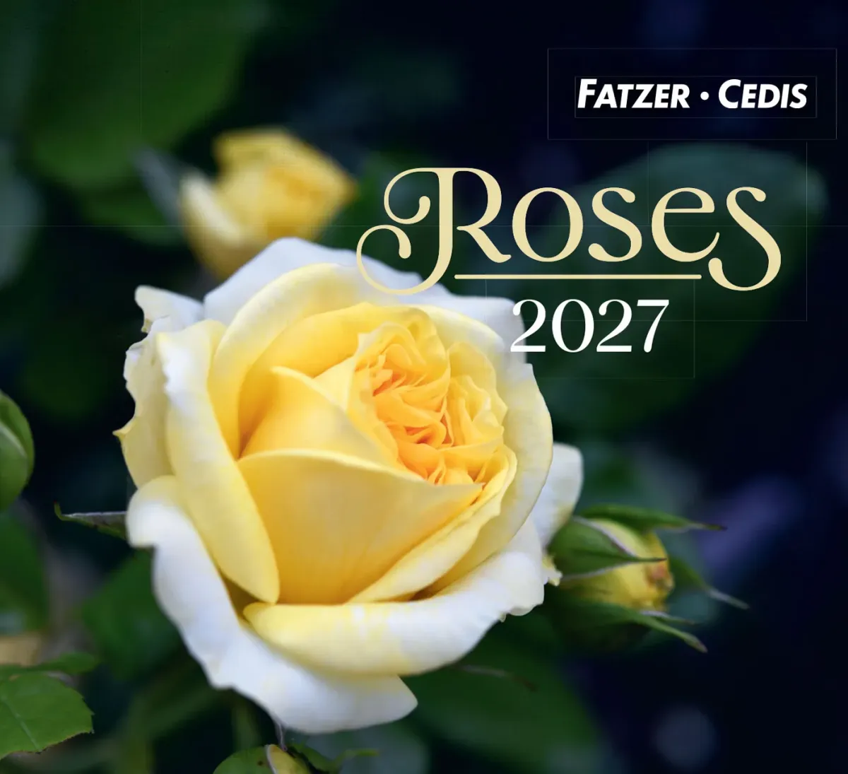 Calendrier Roses - petit format