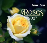 Calendrier Roses - petit format