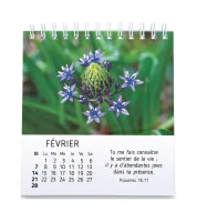 Calendrier Floralies