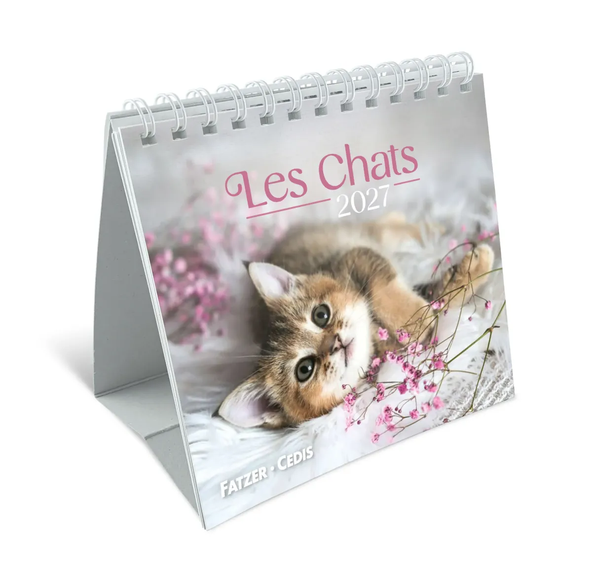 Calendrier  Les chats - petit format