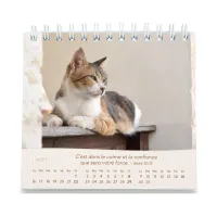 Calendrier  Les chats - petit format
