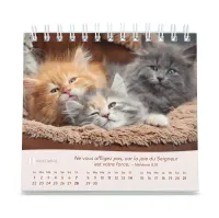 Calendrier  Les chats - petit format