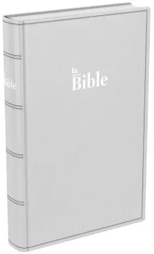 Bible Darby 2024  standard souple, gris