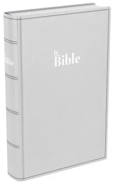Bible Darby 2024 compact, souple gris
