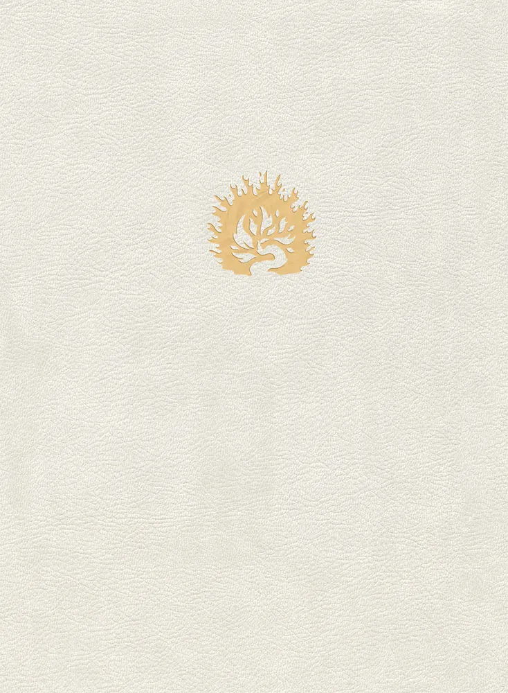 Bible Colombe - Bible d'étude de la foi réformée - Blanc, similicuir