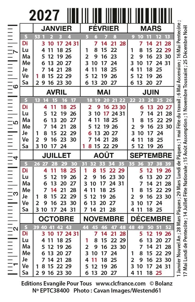 Calendrier format carte de crédit - Oiseau