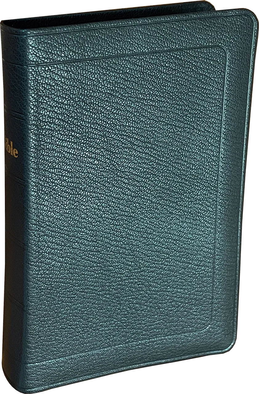 Bible Darby 2024 compact, cuir noir
