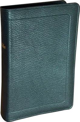 Bible Darby 2024 compact, cuir noir