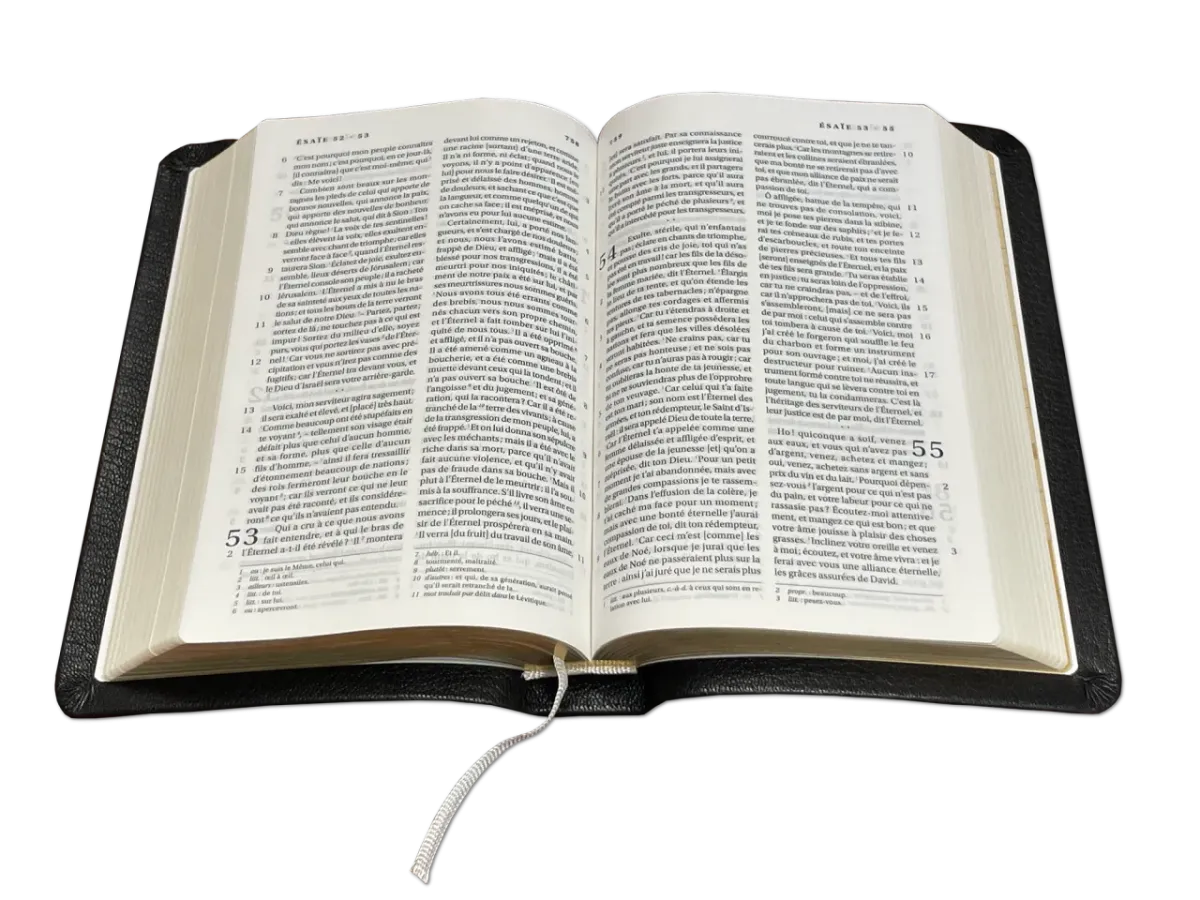 Bible Darby 2024 compact, cuir noir