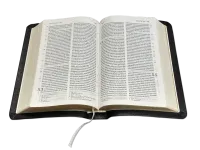Bible Darby 2024 compact, cuir noir