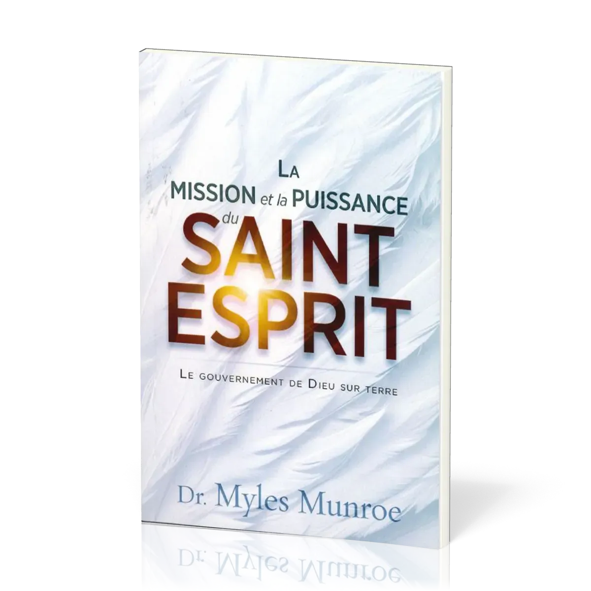Mission et la puissance du Saint-Esprit (La) - Le gouvernement de Dieu sur terre