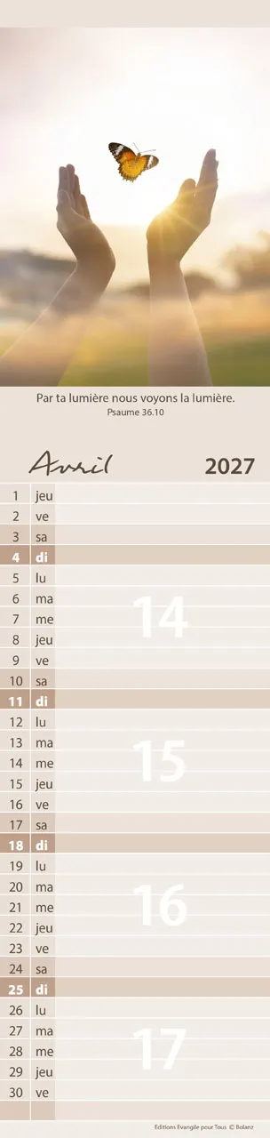 Calendrier Pour Tous - allongé