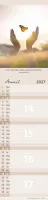 Calendrier Pour Tous - allongé