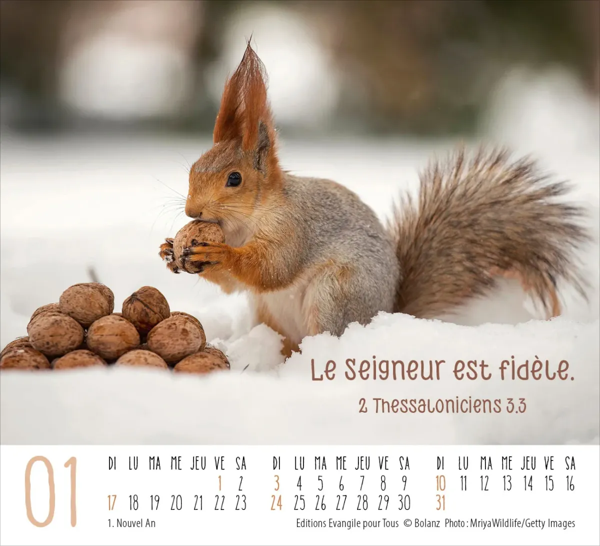 Calendrier Rencontres - mini de table